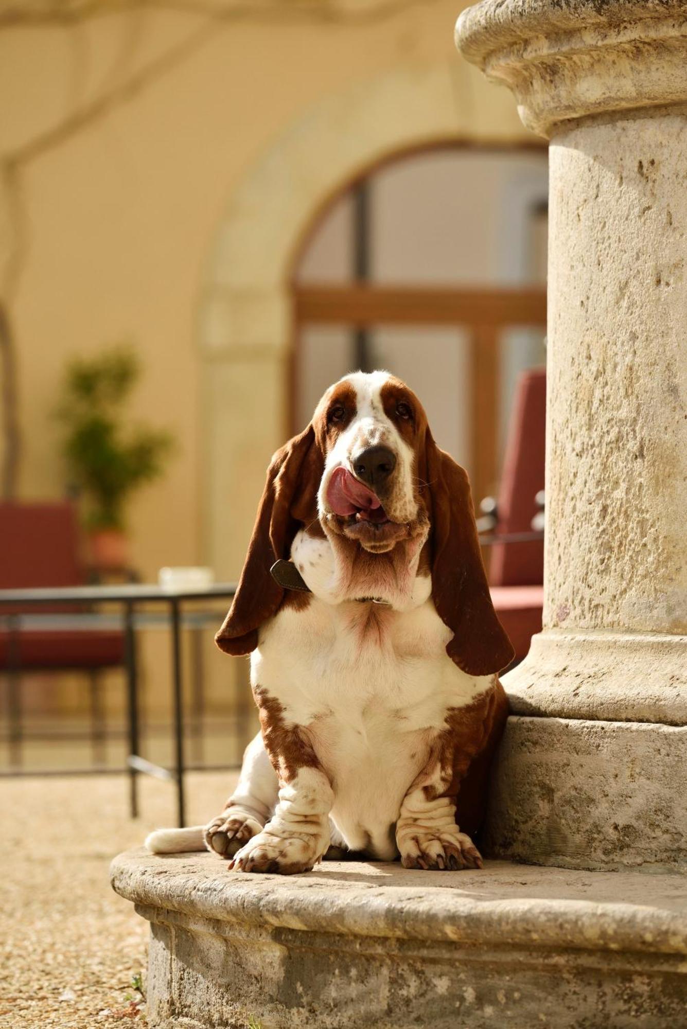 Villa Sabolini Colle Val D'Elsa Esterno foto